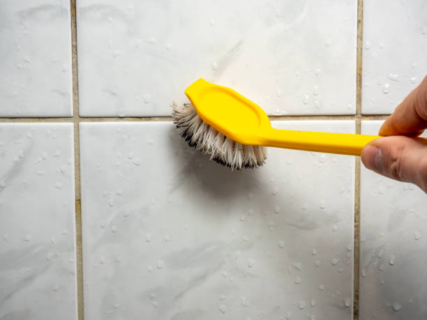 Best Residential Mold Removal  in Chestertown, MD